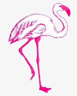 Feathers Png, Transparent Png, Transparent PNG