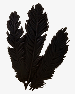 Hagraven Feathers Clipart , Png Download, Transparent Png, Transparent PNG