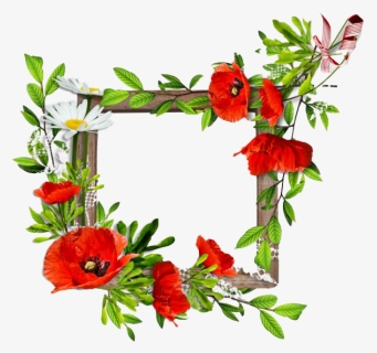 Poppy Flower Frame Png Clipart, Transparent Png, Transparent PNG