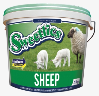 Sheep Png, Transparent Png, Transparent PNG