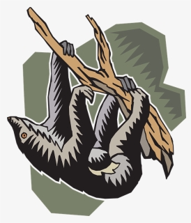 Sloth Png, Transparent Png, Transparent PNG