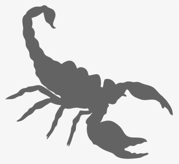 Scorpion Png , Png Download, Transparent Png, Transparent PNG