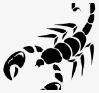 Scorpion Tattoos Png Transparent Images, Png Download, Transparent PNG