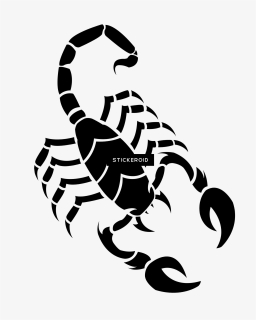 Scorpion Tattoos Png Transparent Images, Png Download , Transparent Png  Image - PNGitem