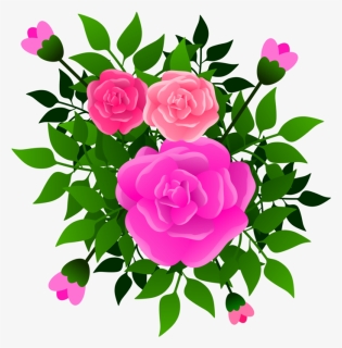 Pink,flower,prickly Rose, HD Png Download, Transparent PNG