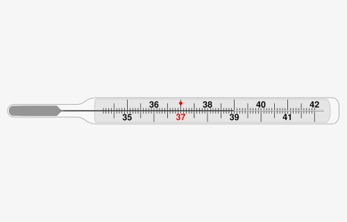 Thermometer Png, Transparent Png, Transparent PNG