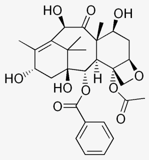 File - Deacetylbaccatin, HD Png Download, Transparent PNG
