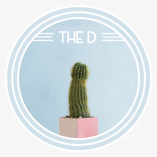 The D Circle 4, HD Png Download, Transparent PNG