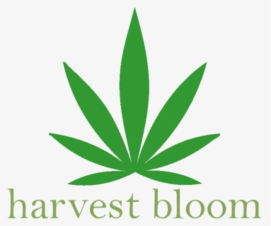 Harvest Bloom Medical Marijuana Delivery Service [interview], HD Png Download, Transparent PNG