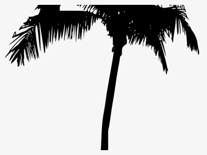 Palm Tree Silhouette Png , Png Download, Transparent Png, Transparent PNG