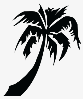 Picture Of Palm Tree, HD Png Download, Transparent PNG