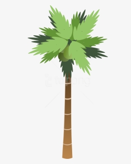 Free Png Download Palm Tree Clipart Png Photo Png Images, Transparent Png, Transparent PNG