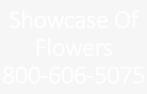 Showcase Of Flowers, HD Png Download, Transparent PNG
