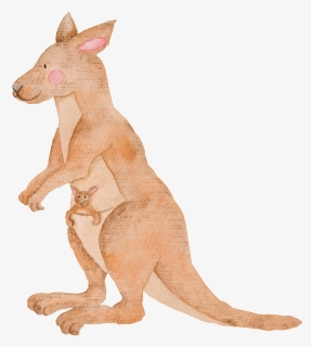 Hand Painted Kangaroo Transparent Animal Png, Png Download, Transparent PNG