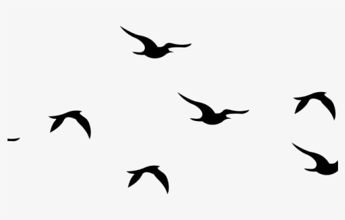 Flying Bird Png, Transparent Png, Transparent PNG