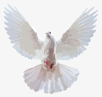 Doves Png, Transparent Png, Transparent PNG