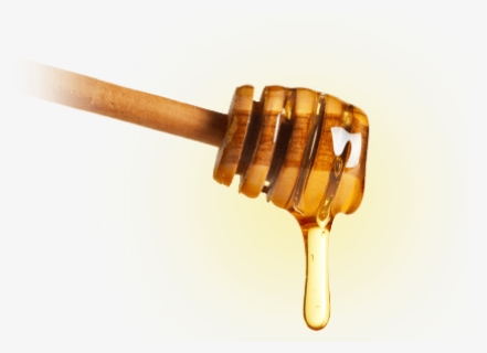 Honey Transparent Images, HD Png Download, Transparent PNG