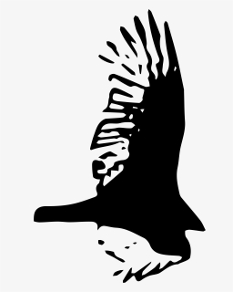 Bird Hawk Clip Art, HD Png Download, Transparent PNG
