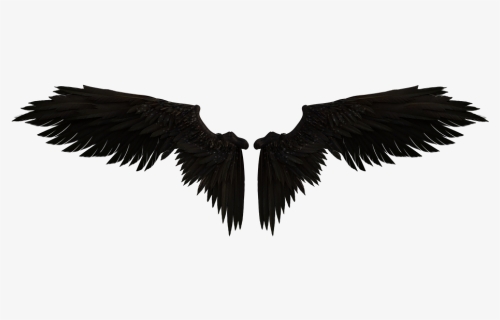 Fairy Wings Png, Transparent Png, Transparent PNG