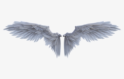 Fairy Wings Png, Transparent Png, Transparent PNG