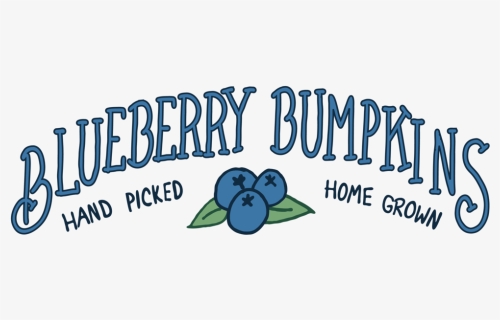 Blueberry, HD Png Download, Transparent PNG