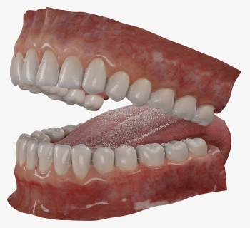 Transparent Wolf Teeth Png, Png Download, Transparent PNG