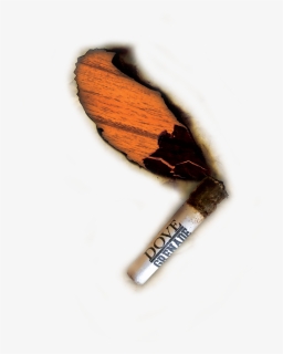 Roach Alone5, HD Png Download, Transparent PNG