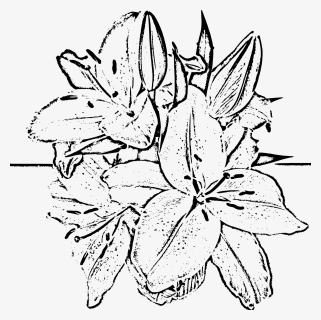 Street Flowers Woodcut Clip Arts, HD Png Download, Transparent PNG