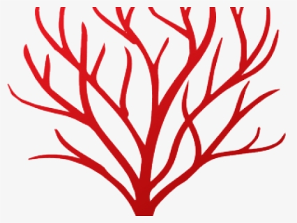 Coral Clipart Red Coral, HD Png Download, Transparent PNG