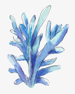 This Graphics Is Hand Painted A Blue Coral Png Transparent, Png Download, Transparent PNG