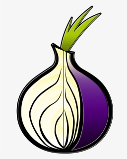 Onion Layers Png, Transparent Png , Transparent Png Image - PNGitem