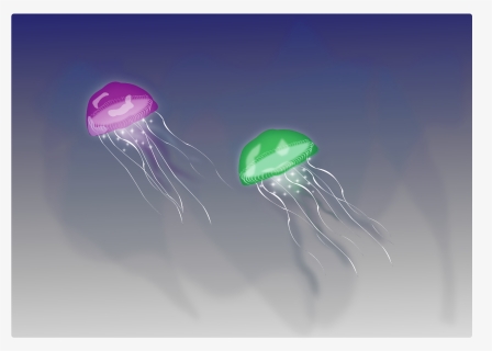 Jellyfish , Png Download, Transparent Png, Transparent PNG