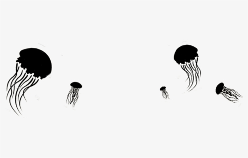 Jellyfish Png, Transparent Png, Transparent PNG