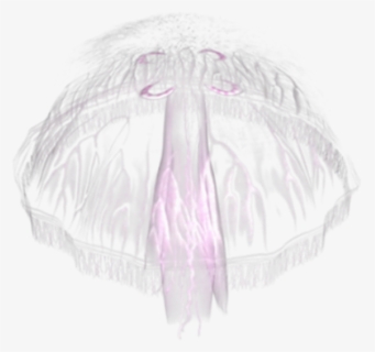 Jellyfish Png, Transparent Png, Transparent PNG