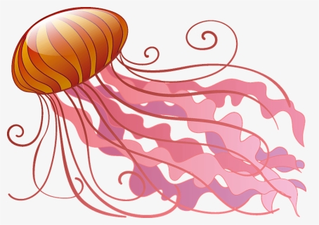 Jellyfish Clipart, HD Png Download, Transparent PNG