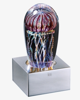 Jellyfish Png, Transparent Png, Transparent PNG