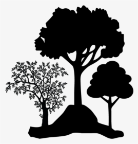 Arboretums - Evolution Of Zip Line, HD Png Download, Transparent PNG