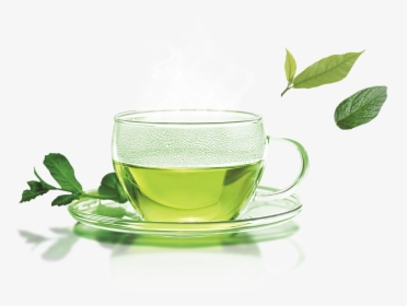 Green Tea Transparent Images - Green Tea Images Png, Png Download, Transparent PNG