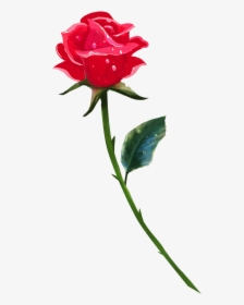 Clip Art Brookegillette Png Pinterest - Rose Flowers Single Png, Transparent Png, Transparent PNG