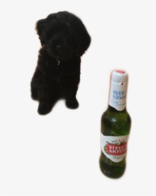 Transparent Stella Beer Png - Beer Bottle, Png Download, Transparent PNG