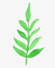 Watercolor Transparent Leaf Clipart, HD Png Download, Transparent PNG