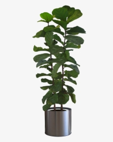 Potted Plants Png Download - Indoor Potted Plant Png, Transparent Png, Transparent PNG