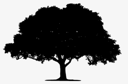 Tree, Landscape, Plant, Leaf, Leaves, Vegetation - Oak Tree Silhouette Png, Transparent Png, Transparent PNG