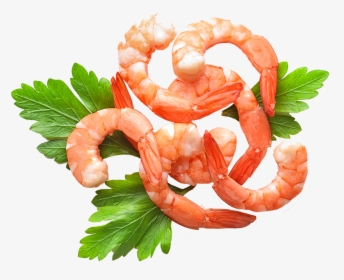 Shrimp Curled Around Decorative Parsley - Scampi, HD Png Download, Transparent PNG