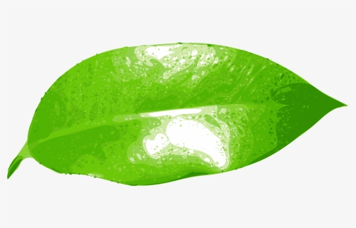 Illustration Of A Leaf, HD Png Download, Transparent PNG