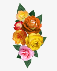 Digital Flower Design, Vector,flower,vector Art,flower - Garden Roses, HD Png Download, Transparent PNG