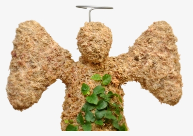 Tree, HD Png Download, Transparent PNG
