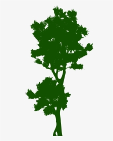 Tree Public Domain Clip Art - Pohon Tinggi Vektor, HD Png Download, Transparent PNG