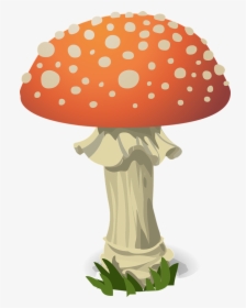 Mushroom, Fly Agaric, Red, Toxic, Nature, Fungus - Mushroom Pun, HD Png Download, Transparent PNG
