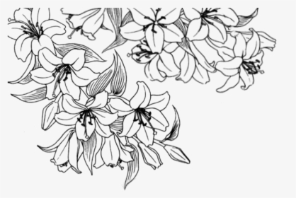 #edit #flower #flor #flores #cute #flowers #tumblr - White Aesthetic Flowers Transparent, HD Png Download, Transparent PNG